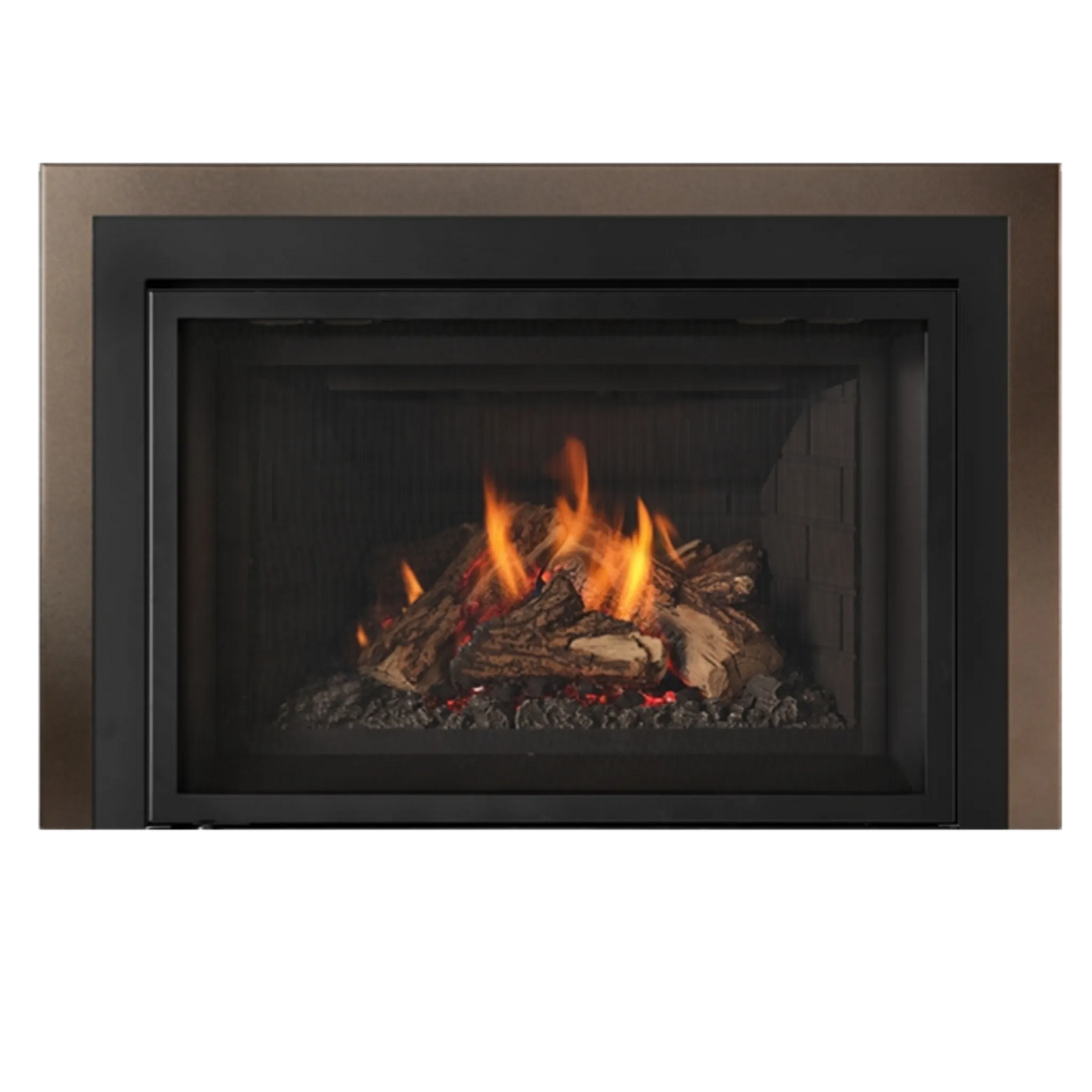 Atmosphere gas insert