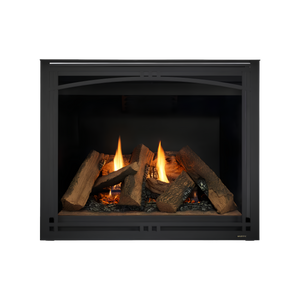 Majestic Meridian Direct Vent Gas Fireplace
