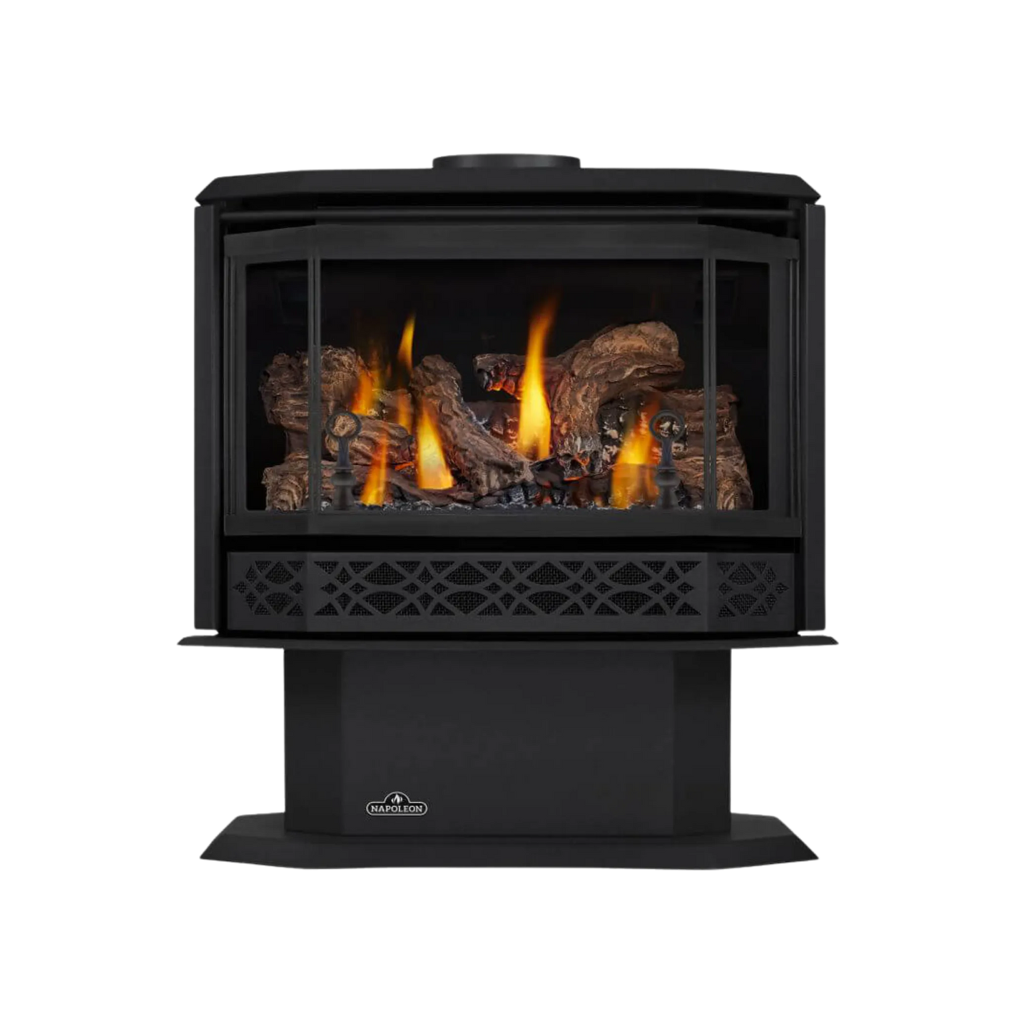 Napoleon Havelock Direct Vent Gas Stove