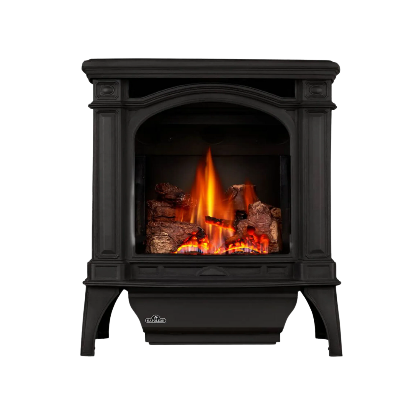 Napoleon Bayfield Direct Vent Gas Stove