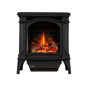 Napoleon Bayfield Direct Vent Gas Stove
