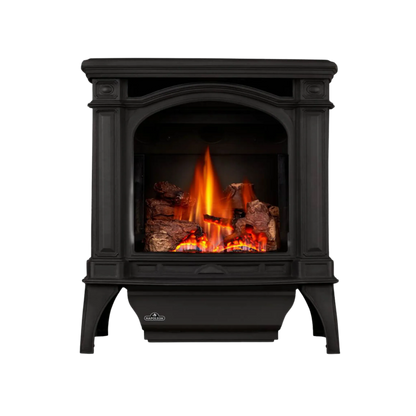 Napoleon Bayfield Direct Vent Gas Stove