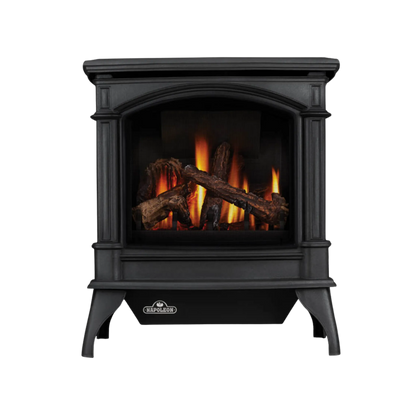 Napoleon Knightsbridge Direct Vent Gas Stove