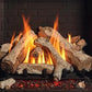 Regency Grandview G800P Gas Fireplace