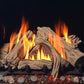 Regency Grandview G800P Gas Fireplace