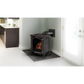 Napoleon Bayfield Direct Vent Gas Stove