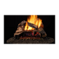 Majestic Radiant Duzy Series Vented Gas Log Set