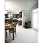 Napoleon Bayfield Direct Vent Gas Stove
