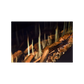Modern Flames TruWood Premium Timber Kit