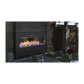Majestic Lanai Gas Fireplace
