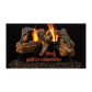 Majestic Radiant Duzy Series Vented Gas Log Set