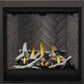 Napoleon Altitude X Direct Vent Gas Fireplace