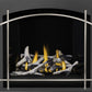 Napoleon Altitude X Direct Vent Gas Fireplace