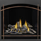 Napoleon Altitude X Direct Vent Gas Fireplace