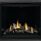 Napoleon Altitude X Direct Vent Gas Fireplace