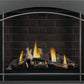 Napoleon Altitude X Direct Vent Gas Fireplace