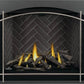 Napoleon Altitude X Direct Vent Gas Fireplace