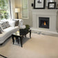 Napoleon Ascent Direct Vent Gas Fireplace