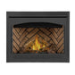 Napoleon Ascent Direct Vent Gas Fireplace