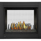 Napoleon Ascent Multi-View Direct Vent Gas Fireplace