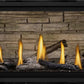 Napoleon Ascent Linear Premium Direct Vent Gas Fireplace