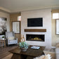 Napoleon Ascent Linear Premium Direct Vent Gas Fireplace