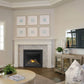 Napoleon Ascent X Direct Vent Gas Fireplace