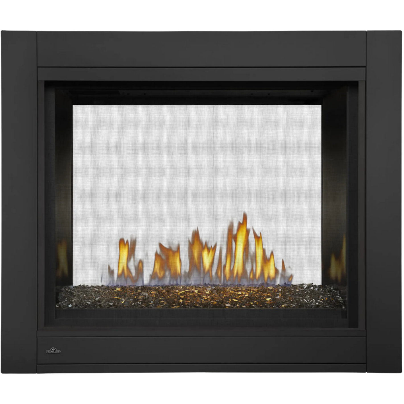 Napoleon Ascent Multi-View Direct Vent Gas Fireplace
