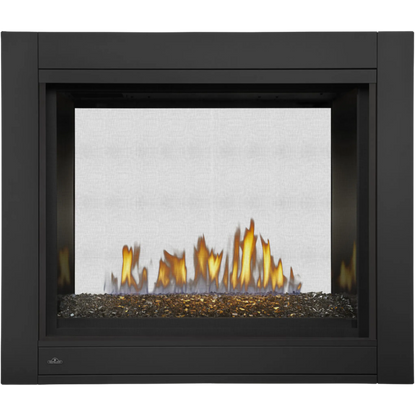 Napoleon Ascent Multi-View Direct Vent Gas Fireplace