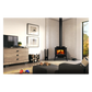 Enerzone Solution 1.7 Wood Stove