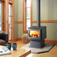 Regency Pro-Series F3500 Wood Stove