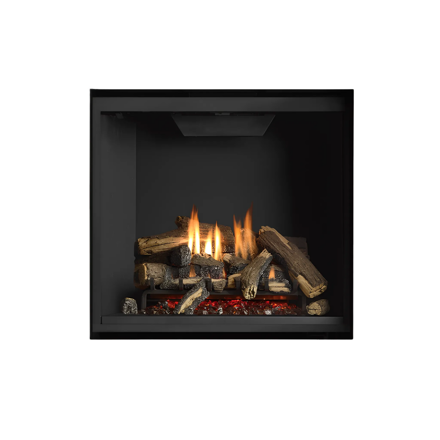 Regency Grandview G800 Gas Fireplace