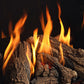 Regency Grandview G800P Gas Fireplace