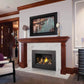 Napoleon Oakville Gas Fireplace Insert