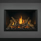 Napoleon Oakville Gas Fireplace Insert