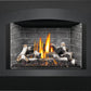 Napoleon Oakville Gas Fireplace Insert