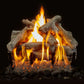 Regency Vented Gas Log Set