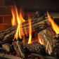 Regency Atmosphere Gi29LU Gas Insert