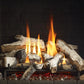 Regency Grandview G800 Gas Fireplace