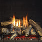 Regency Grandview G800 Gas Fireplace