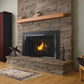 Regency Horizon Radiant Gas Insert