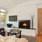 Regency Horizon Radiant Gas Insert