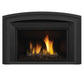Regency Horizon Radiant Gas Insert