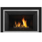 Regency Horizon Radiant Gas Insert