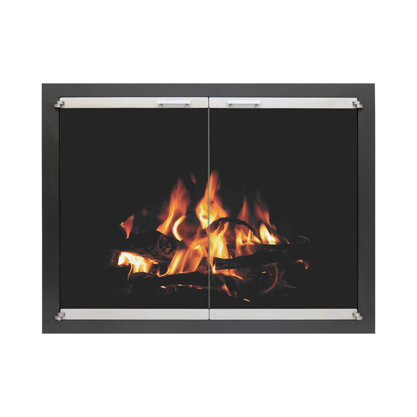 Traditional fireplace doors