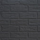 Regency Atmosphere Gi29LU Gas Insert