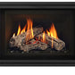 Regency Atmosphere Gi29LU Gas Insert