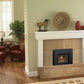 Regency Liberty L234 Gas Insert