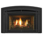 Regency Horizon Radiant Gas Insert