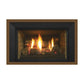 Regency Horizon Radiant Gas Insert